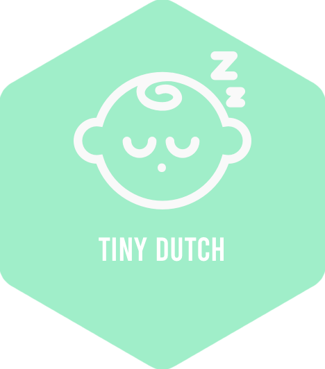 Logo Tiny Dutch